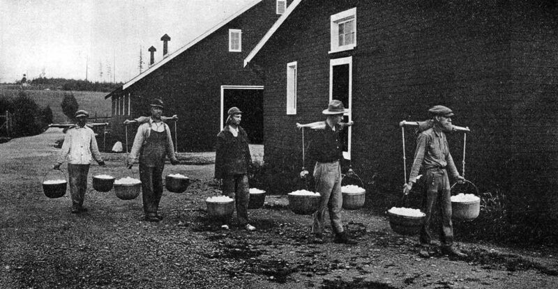 Poultry Farm Men Carrying Eggs