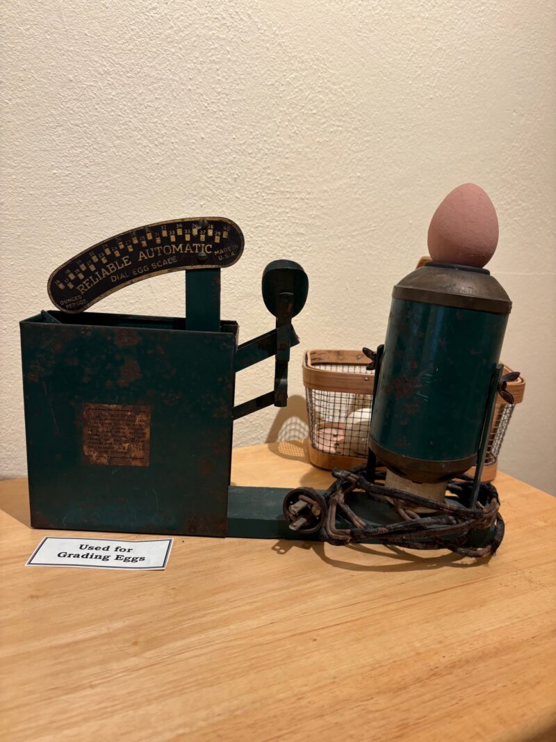 Egg Candler