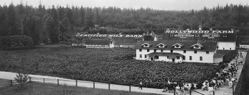 woodinville hollywood farm landscape